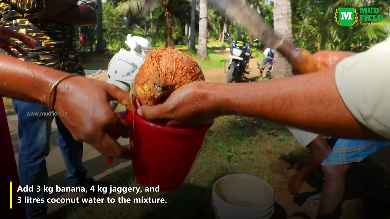 Panchagavya Preparation | Mudfield Farms | Natural Farming | Sustainable Living | Nammazhvar