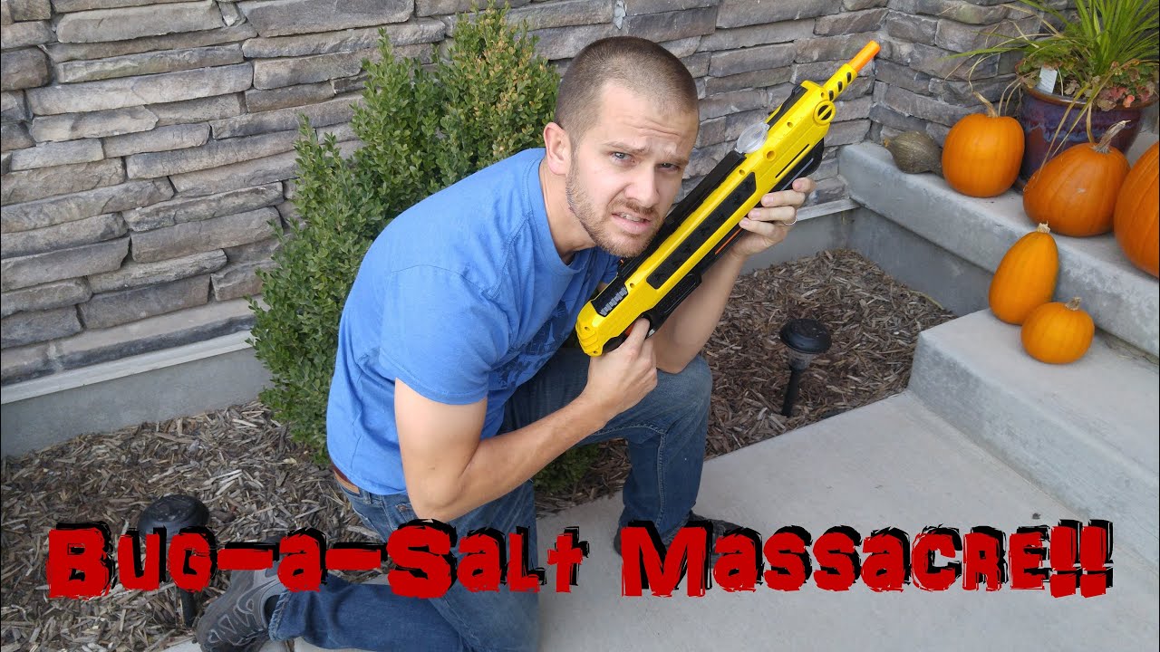 Bug-A-Salt MASSACRE!! HUNTING FLIES WITH SALT!