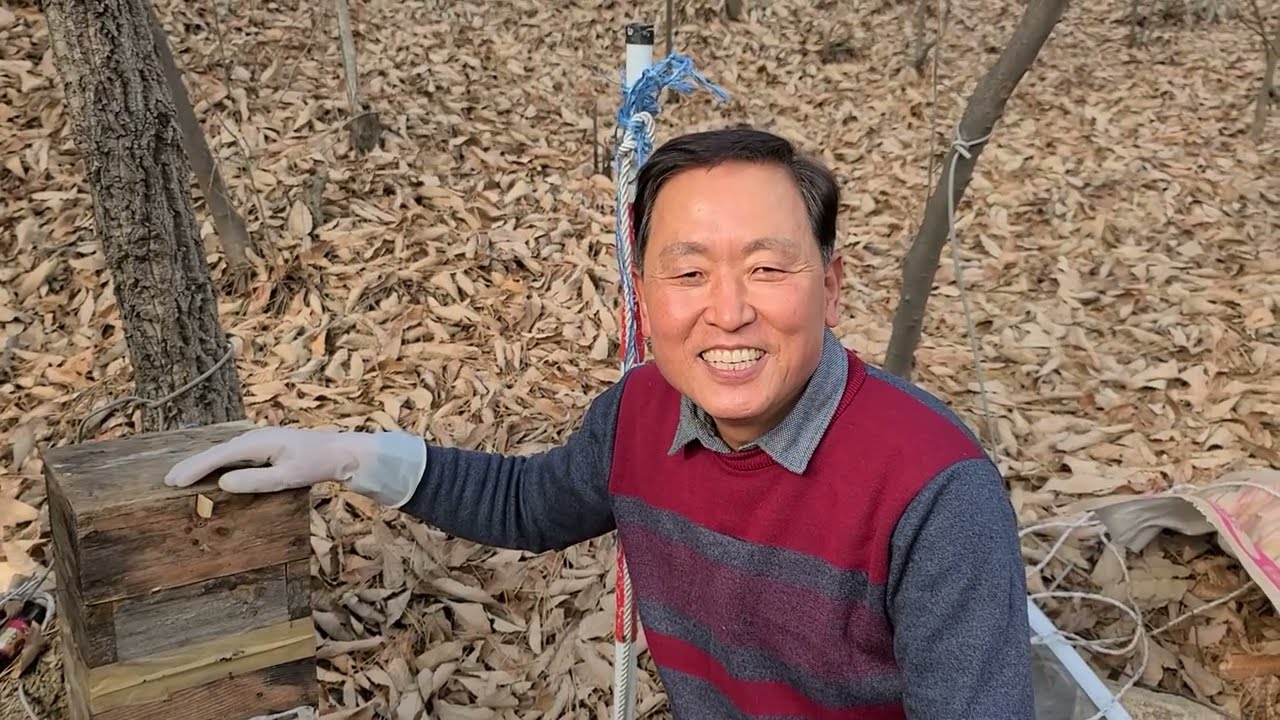 토종 됫박 벌통을 개량벌통으로 옮기기 풀 영상