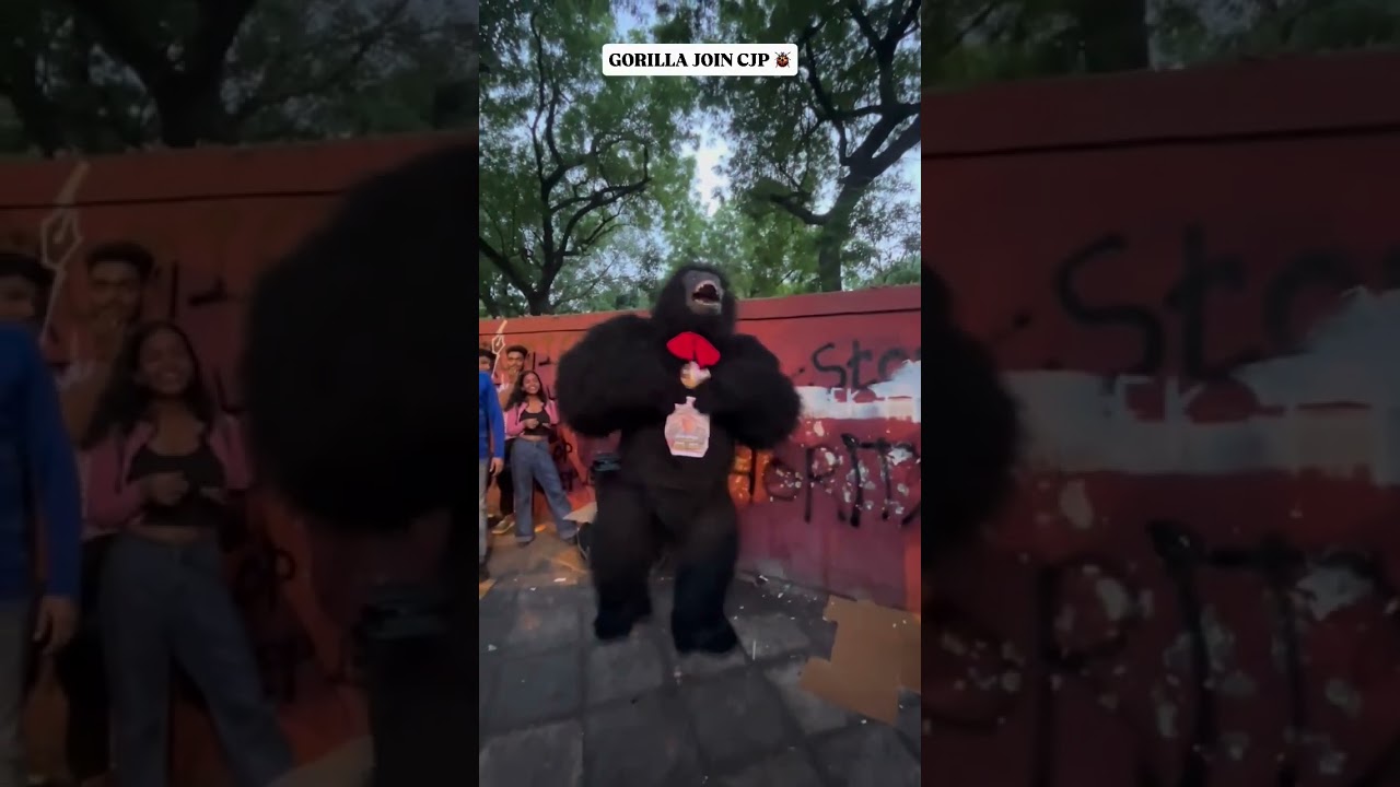 Cjp protest, Gorilla 🦍 join protest #cjp #cjpprotest #study #students #protest