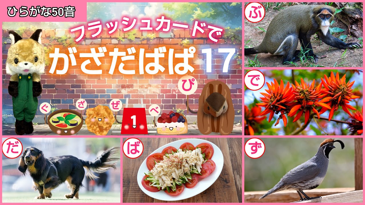 【フラッシュカード】ひらがな50音「フラッシュカードで♪がざだばぱ17」