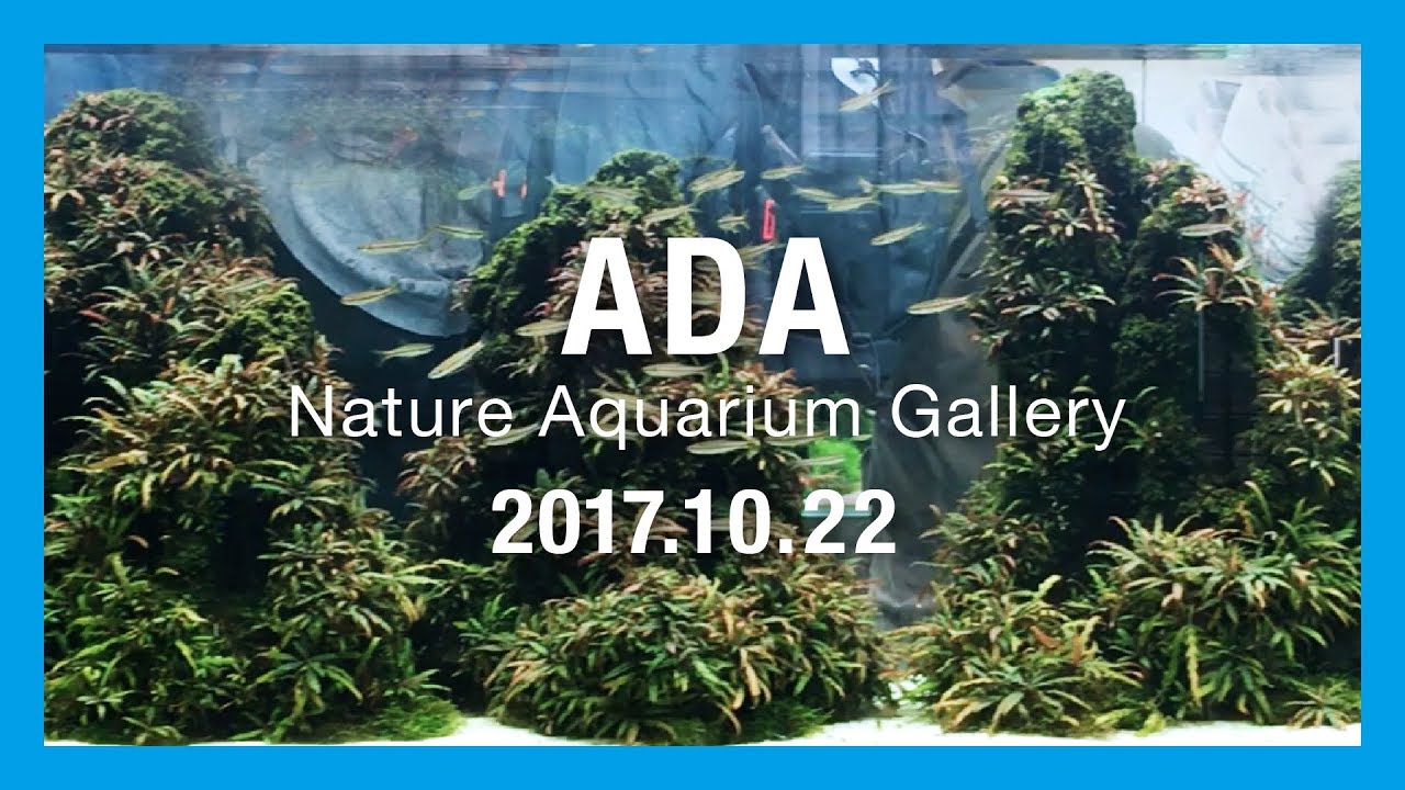 【ADA Nature Aquarium Gallery】ADA ネイチャーアクアリウムギャラリー2017