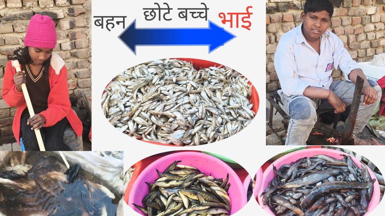 आज की Fish Market का पूरा हाल 😱Complete  #fish  #MachliMandi #TodayFishRate #AashiqJaan #ViralVideo