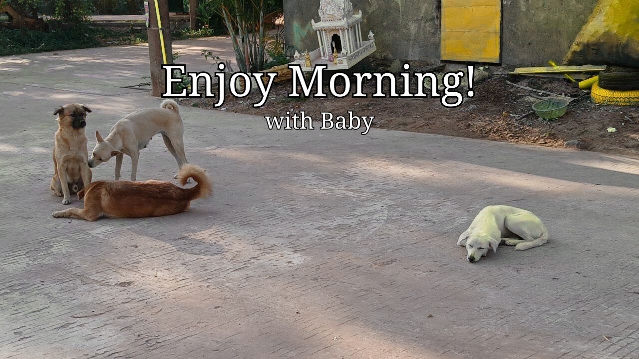 23.Enjoy daily life with Deva Acanza 🐾
