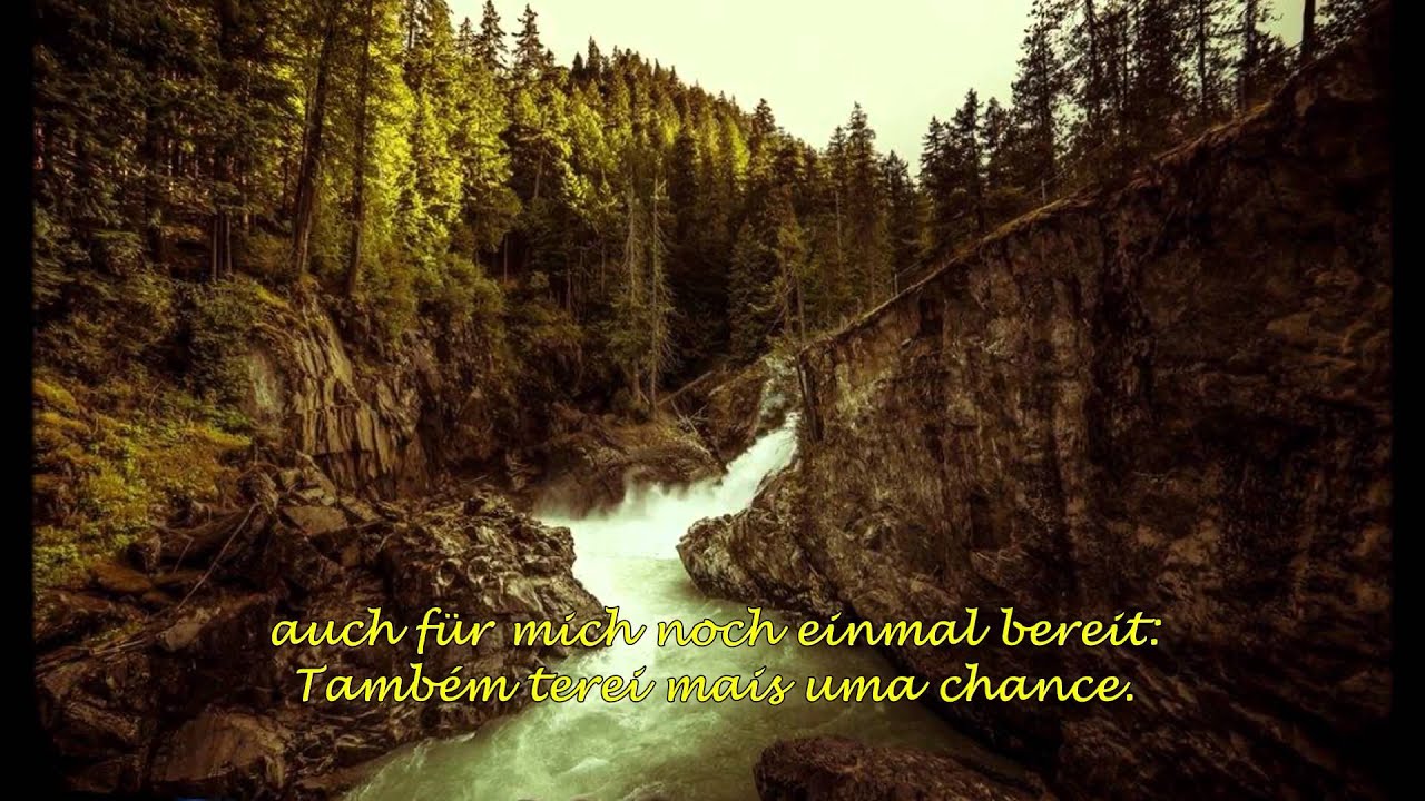 Sem Lar - Heimatlos