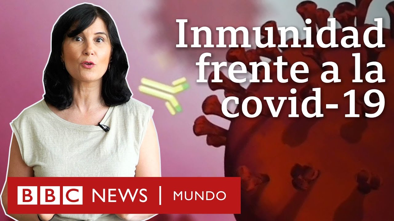 4 buenas noticias sobre la inmunidad contra la covid-19 | BBC Mundo