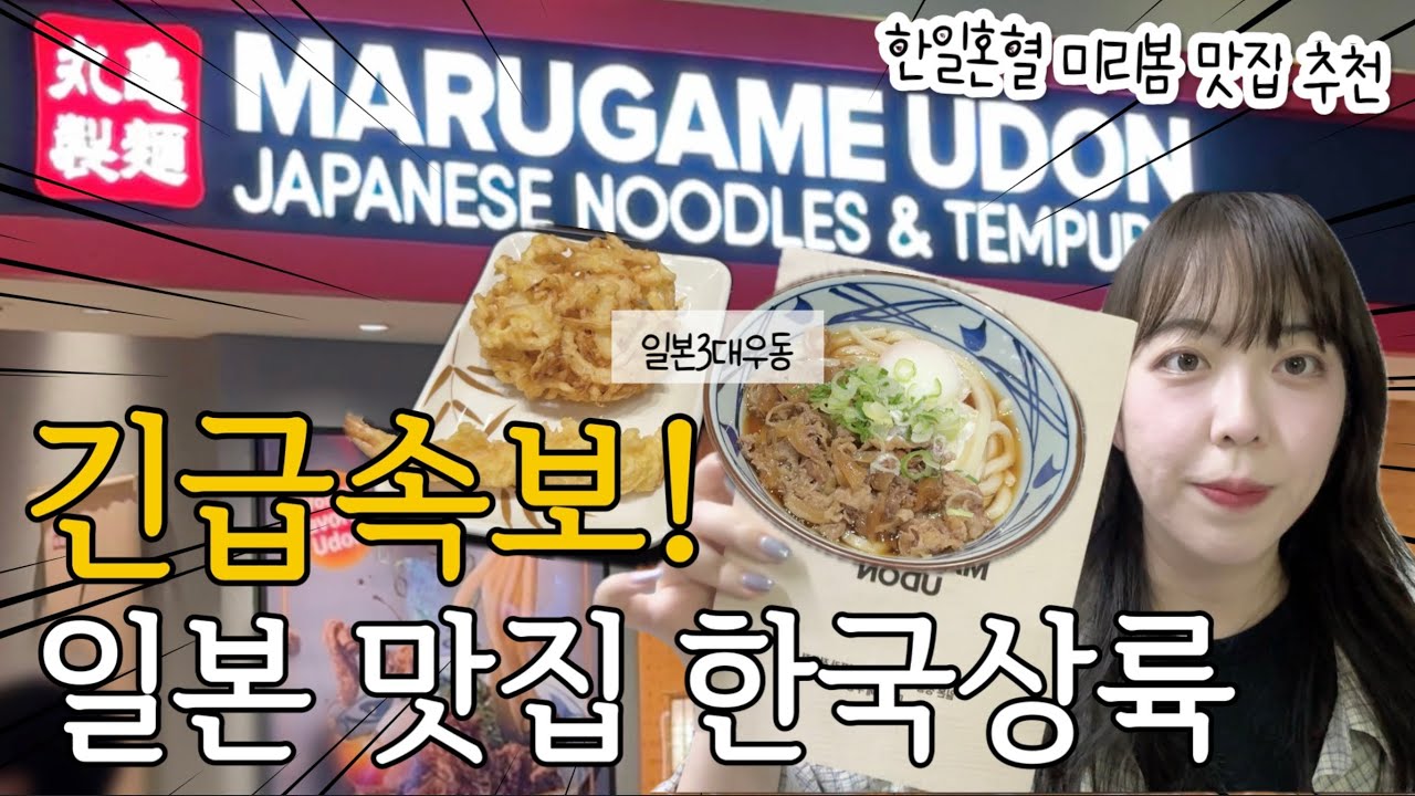 일본3대우동 맛집 한국상륙! 🌸한일혼혈 미리봄이 추천하는 마루가메제면 다녀왔습니다!