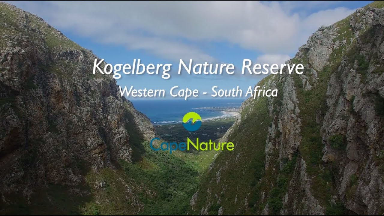 Kogelberg Nature Reserve: the Cape's floral wonderland
