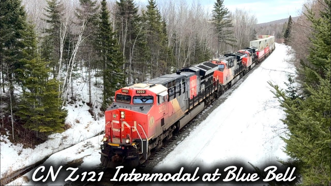 CN Z121, Intermodal at Blue Bell 