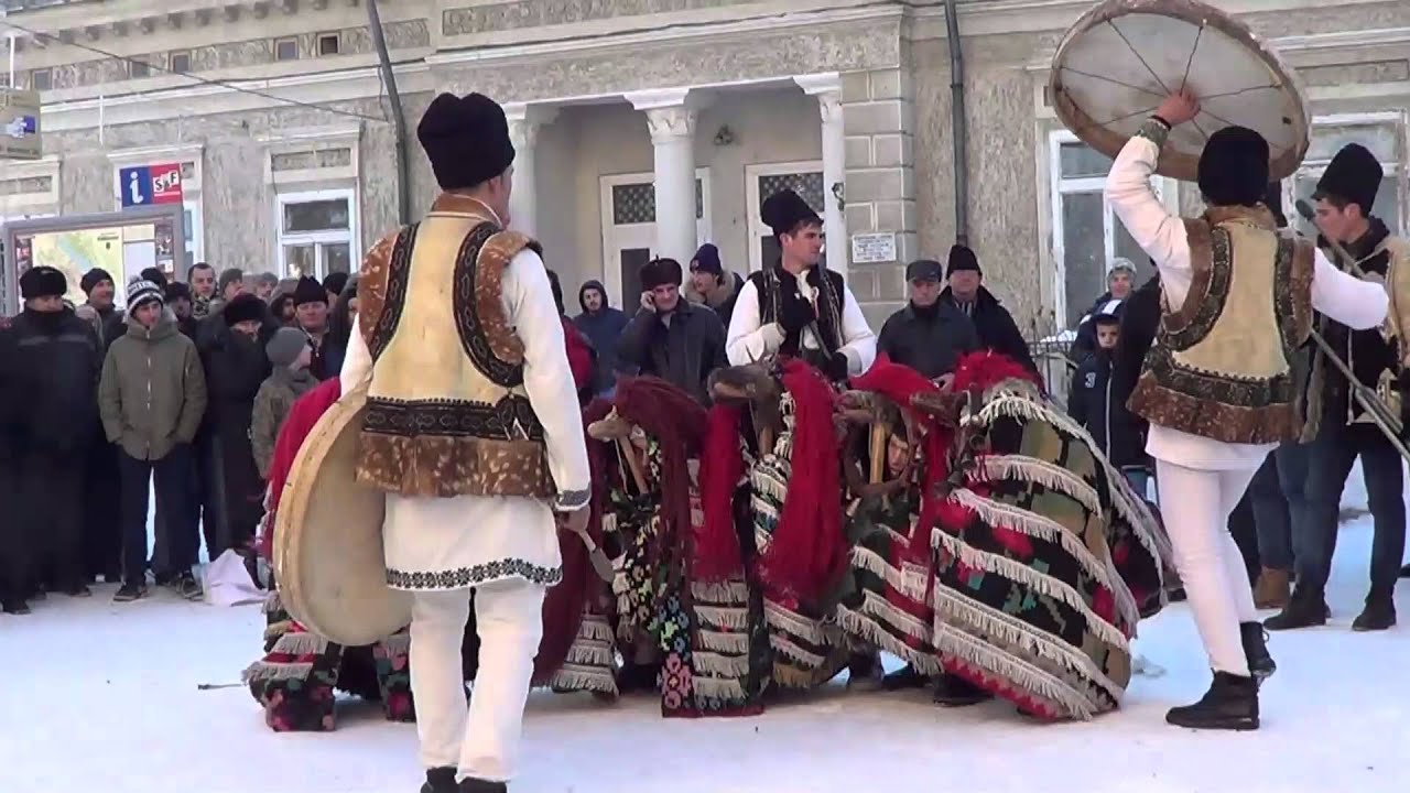 Caprele de la Malini, decembrie 2014