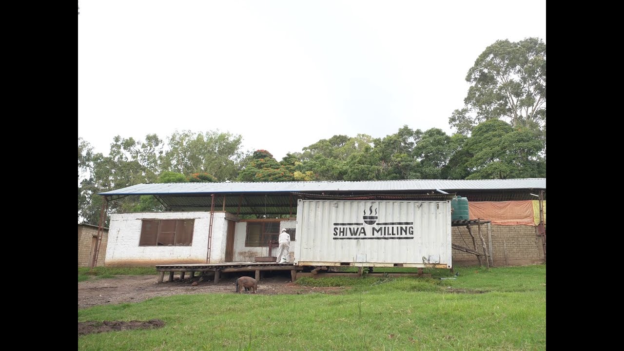 SHIWANGANDU