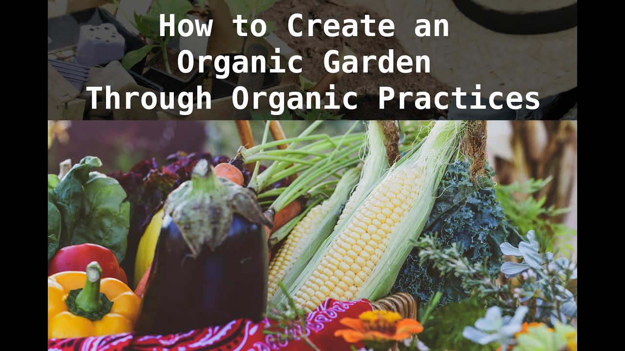 How to Create an Organic Garden Through Organic Practices