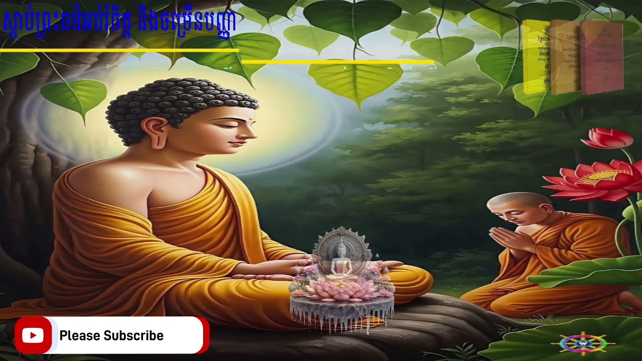 តើមេត្តាឈានរបស់ពុទ្ធបរិស័ទអ្វីខ្លះ ក្នុងព្រហ្មវិហារធម៌ ព្រះធម្មវិបស្សនា កេតុធម្មោ សំ ប៊ុនធឿន