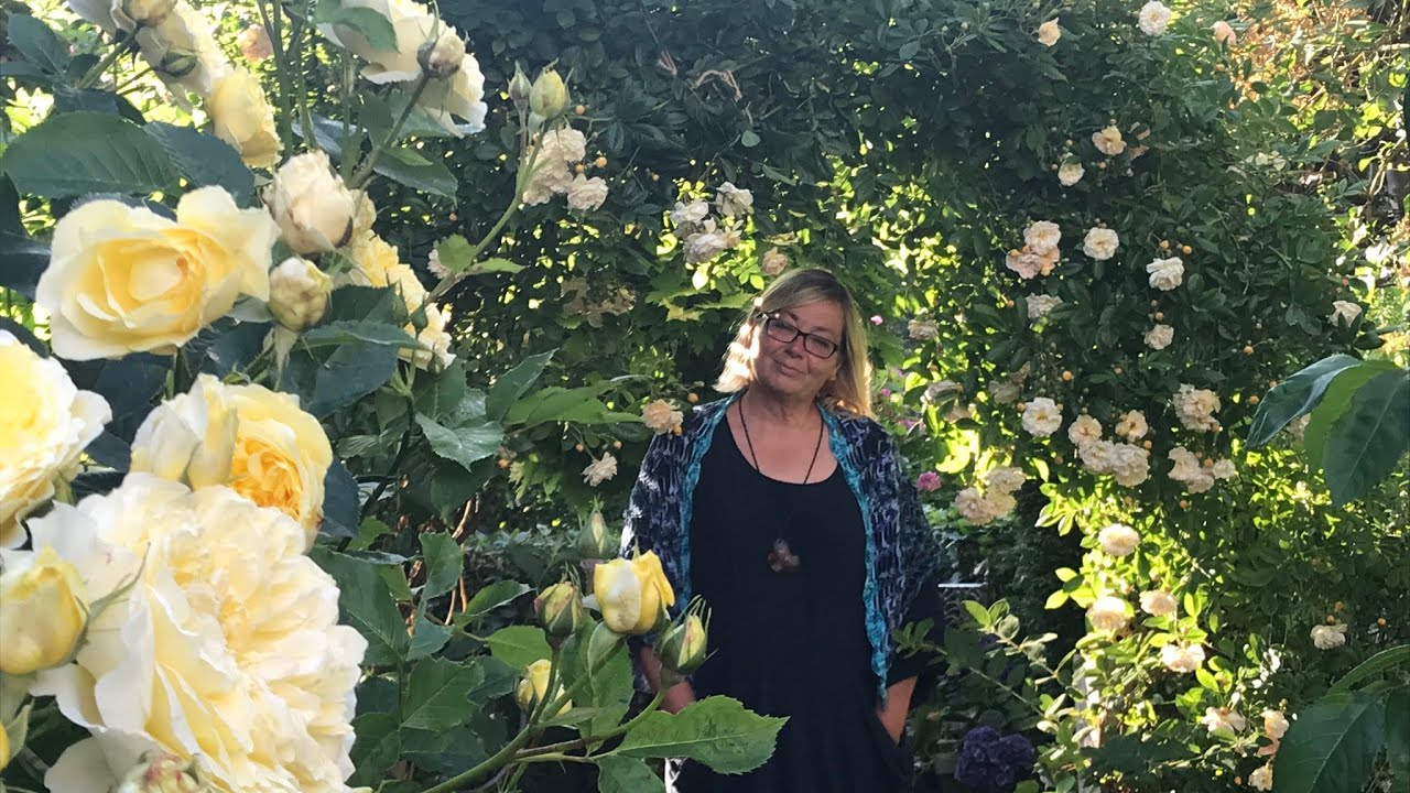 Freystil #52 - Wickelboléro, Sommer-Shirt, Iris-Strickjacke,Rosen