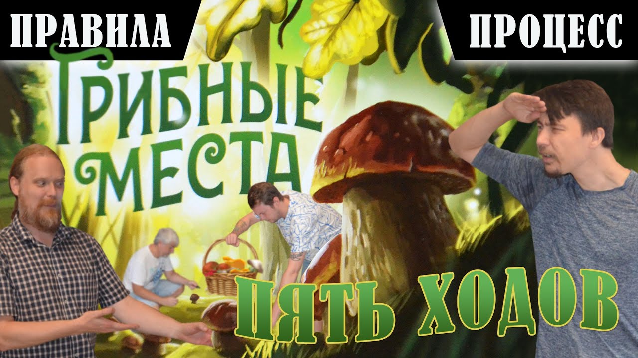 5 ХОДОВ в настольную игру 