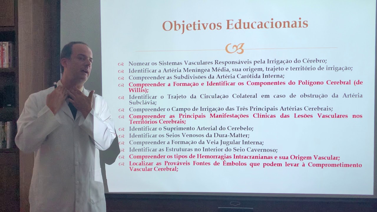 Vascularização do Sistema Nervoso Central