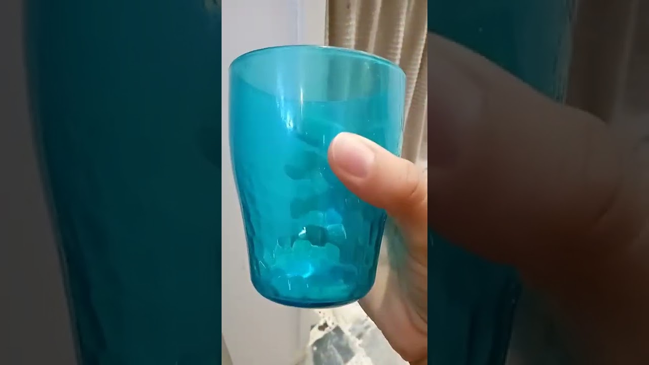 solutions contre les moucherons de terre, plantes vertes.