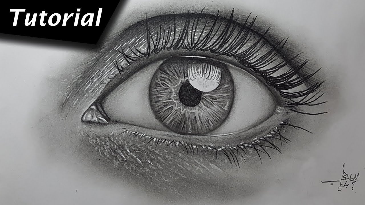 How To Draw a Realistic Eye for Beginners