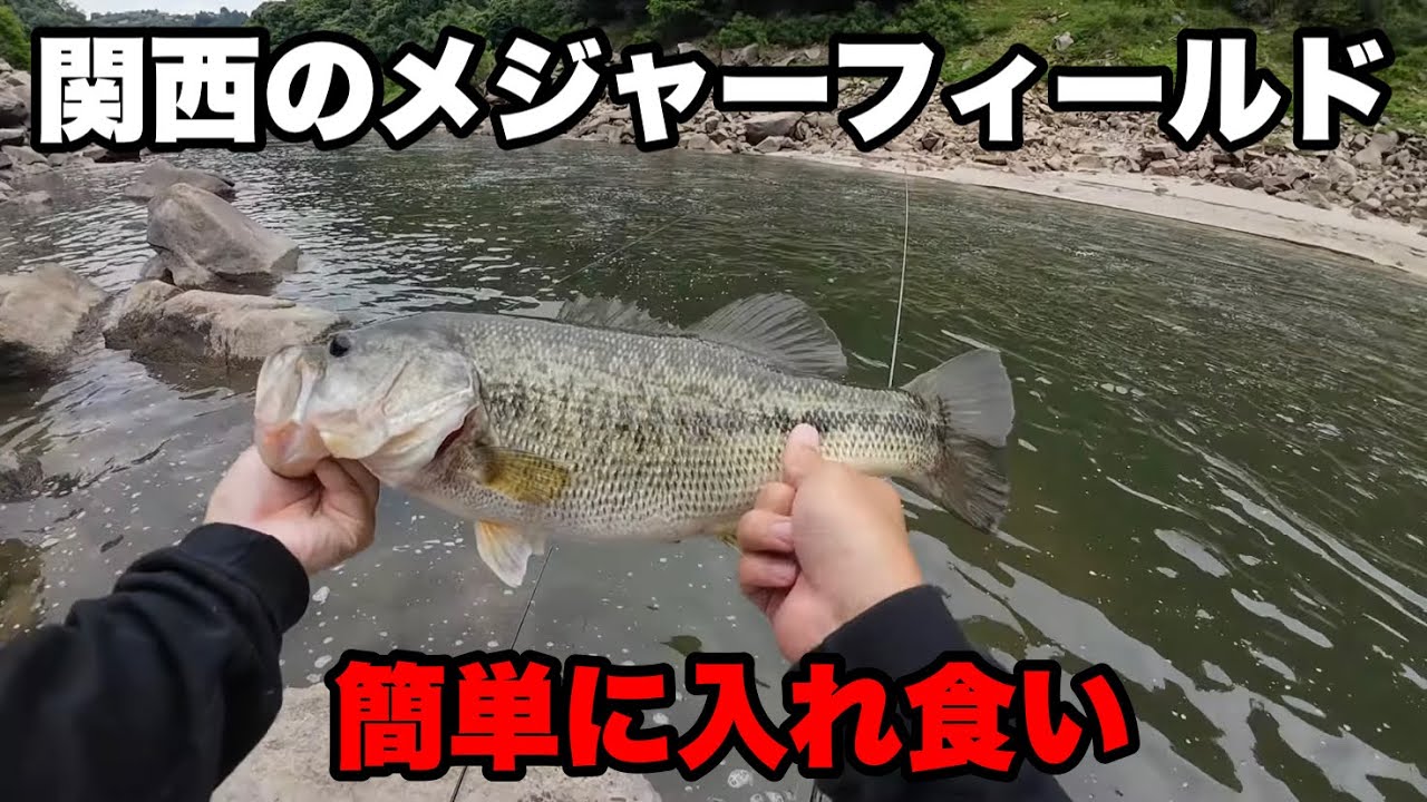 常に釣り人が居る場所でも簡単に連発させる方法があります。