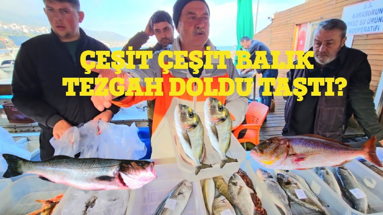 BALIK MEZATI (KARABURUN) 24.01.2026 GENİŞ EKRAN