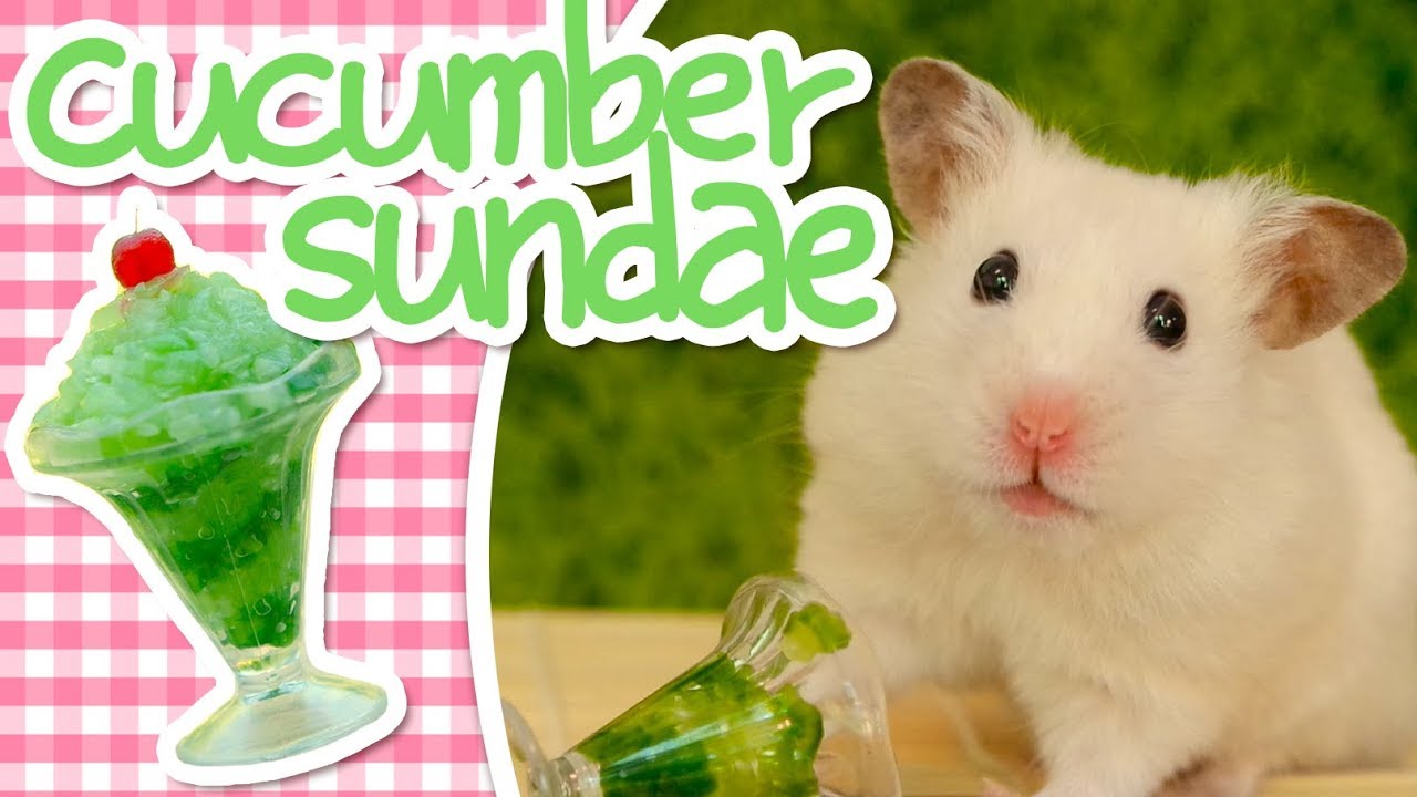 🥒 Cucumber Sundae | HAMSTER KITCHEN 🥒