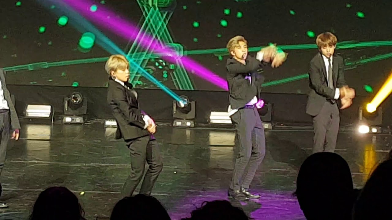 20181014 - BTS France-Korea friendship concert- DNA (방탄소년단)