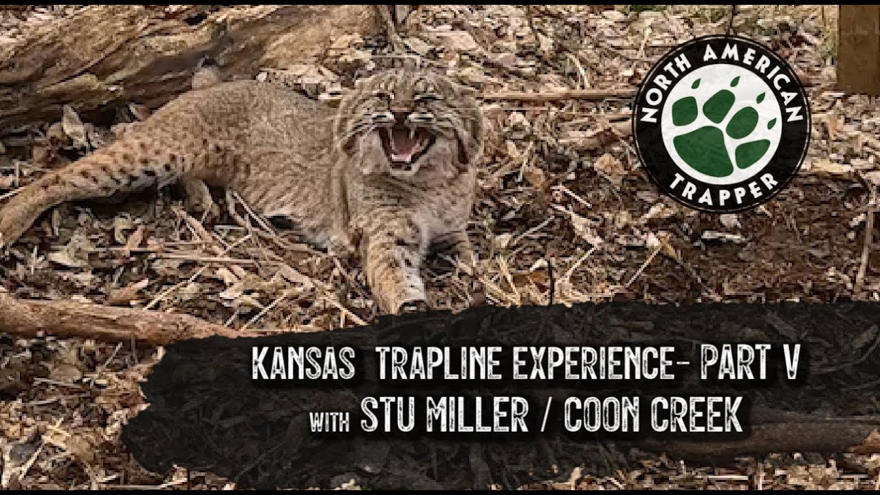 KANSAS TRAPLINE ADVENTURE #5 ~ w/ Stu Miller of Coon Creek Outdoors ~ North American Trapper
