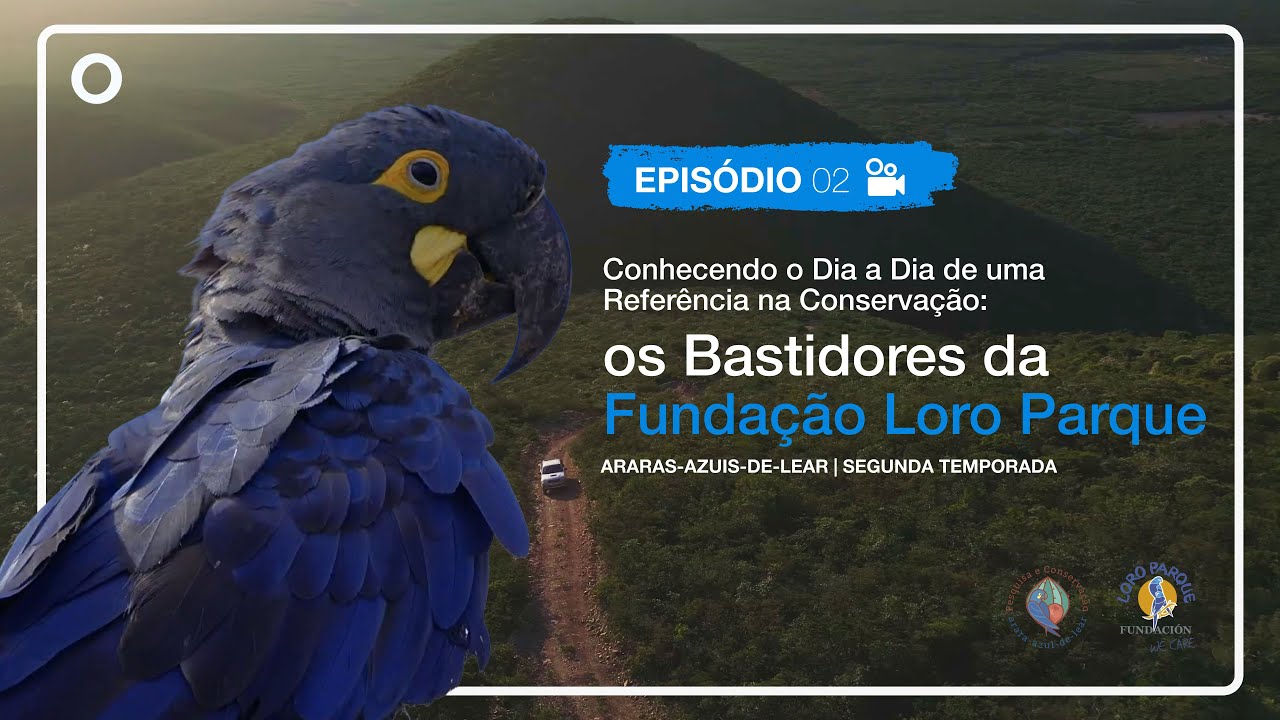 2º Temporada | EP. 2- Conhecendo o dia a dia de uma referência mundial da conservação 