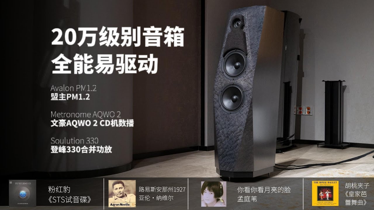Avalon PM1.2 + Metronome AQWO 2 + Soulution 330#audiophile #hifi音响 #hifiaudio #hiend #stereo