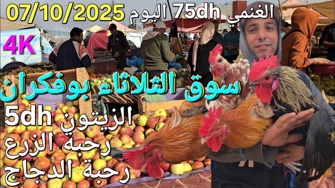 أثمنة اللحوم والدجاج والخضر سوق الثلاثاء بوفكران اليوم 07/10/2025