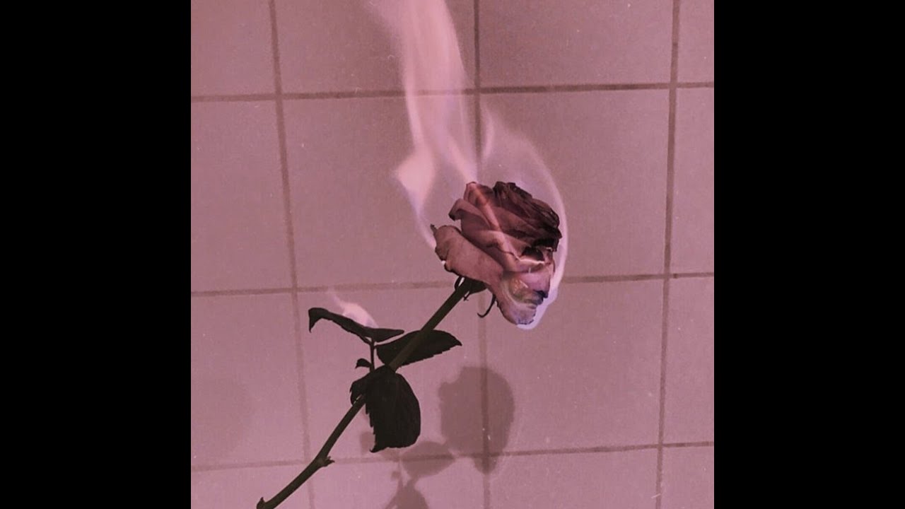 *free* Cuco x Clairo  type beat 