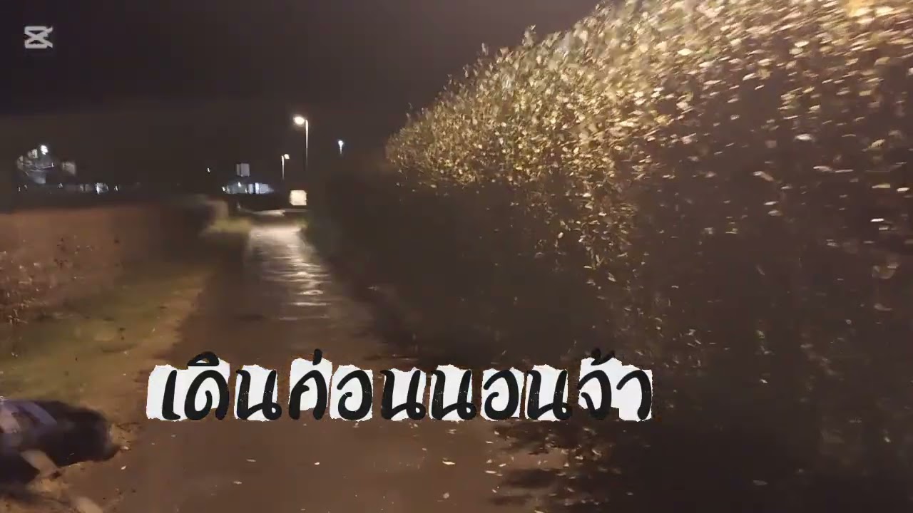 คลิบเดินทุกคืนค่ะเพื่อนๆ เจอลมบ้างฝนบ้างคละกันไปกับบรรยากาศต่างแดนค่ะ😊🙏💞💞🇮🇸