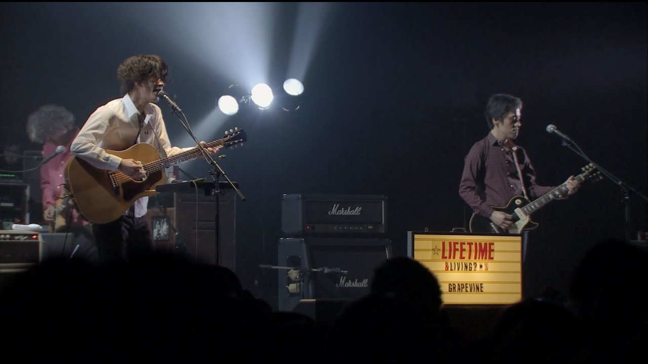GRAPEVINE - SUN (Official Live Video)