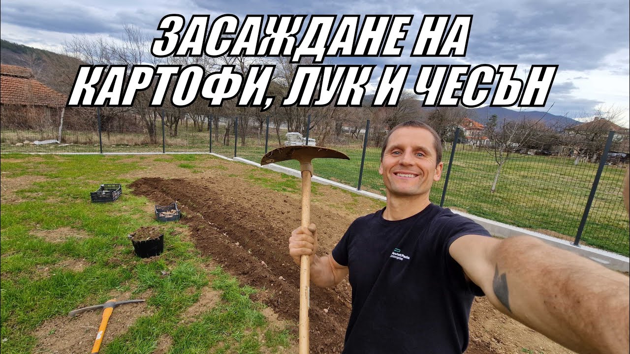 ЖИВОТ В ГРАДИНАТА 1 част - Засаждане на КАРТОФИ, ЛУК И ЧЕСЪН