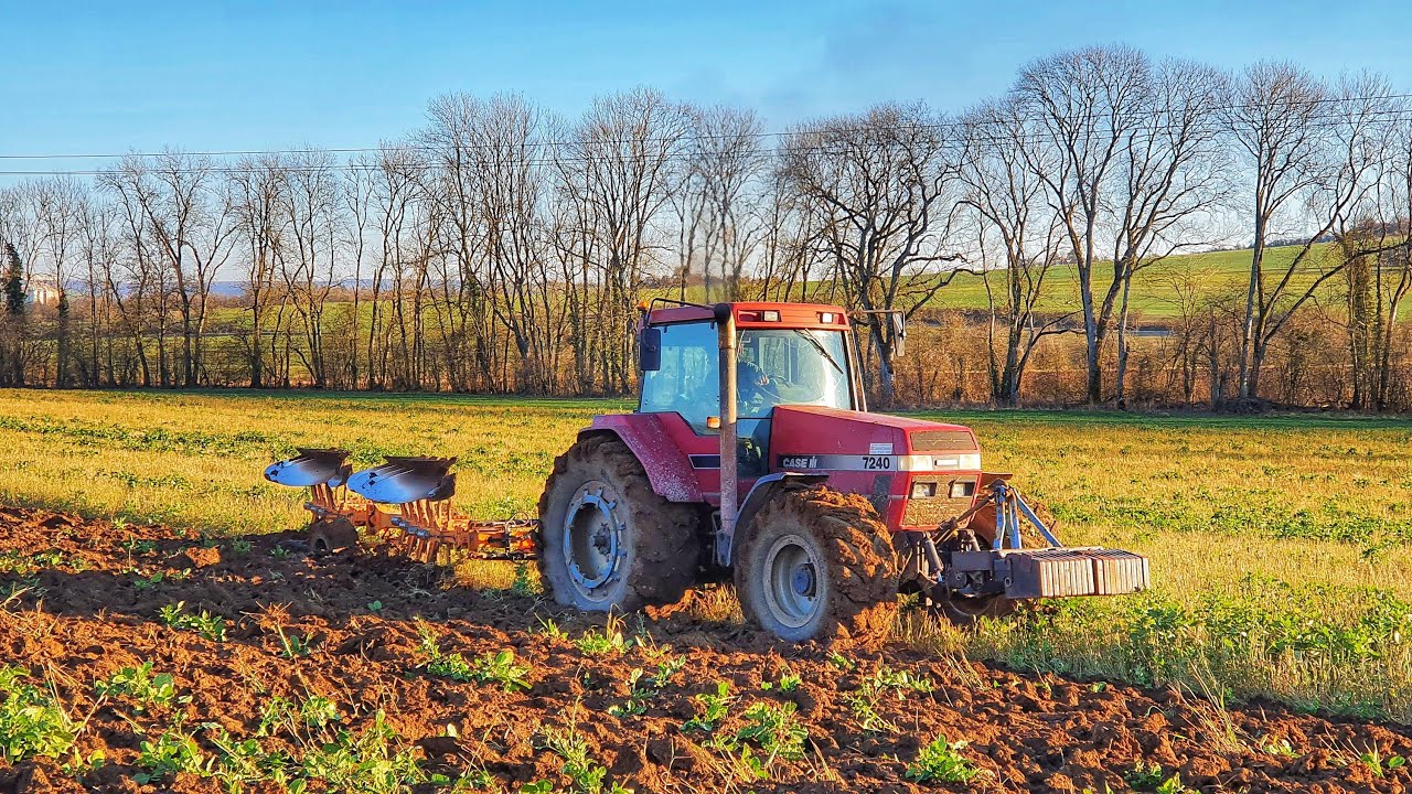 LABOUR D’HIVER AVEC CE MONSTRUEUX CASE MAGNUM