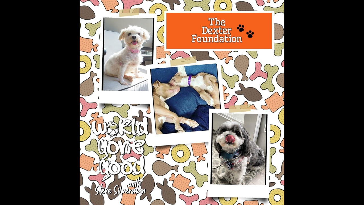 DEXTER FOUNDATION GONE GOOD