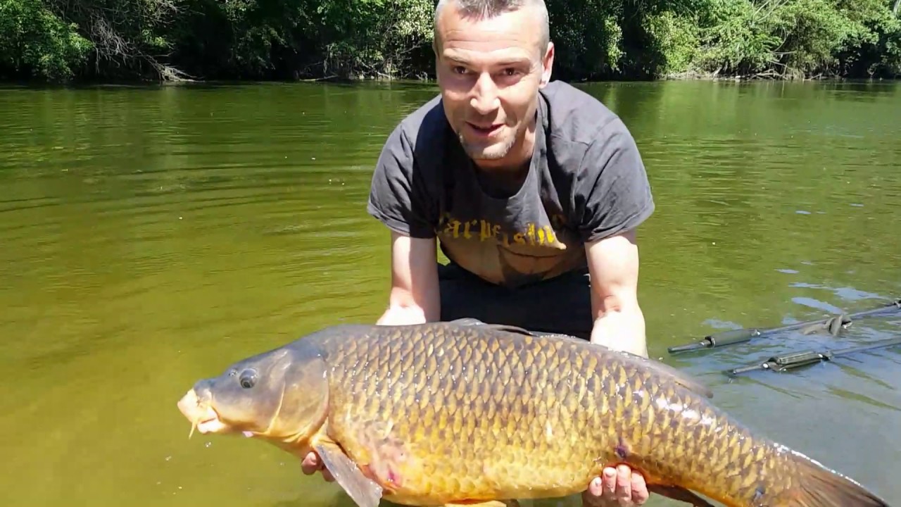 Pêche à la carpe 