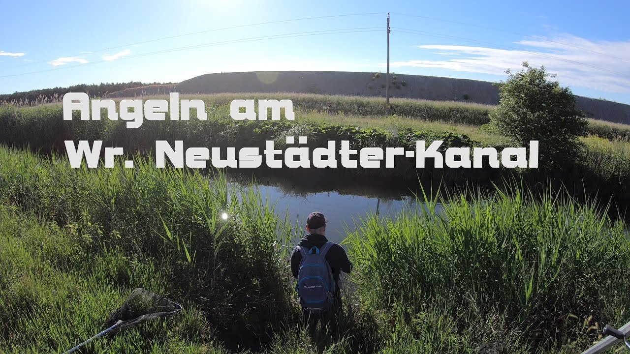 Angeln am Wr.  Neustädter Kanal