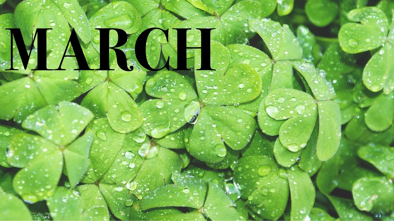 AQUARIUS March   Will you reunite with a past LOVE, What is best for YOU