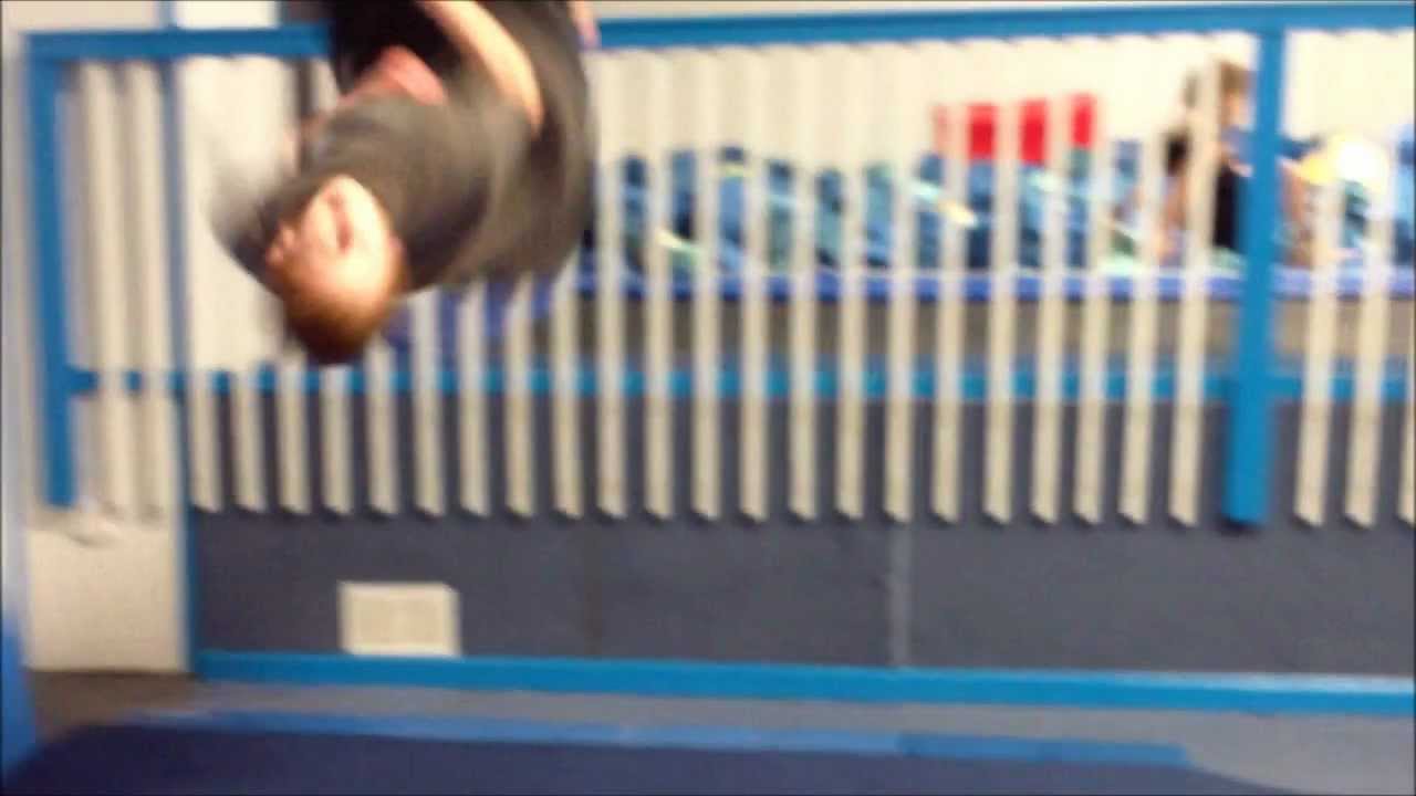 New Flips Update (Micky Aflalo)-1/31/2011
