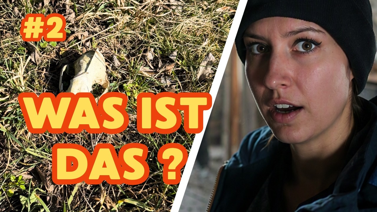 Bau-Update mit kleinem Gruselfund - BVlog 2