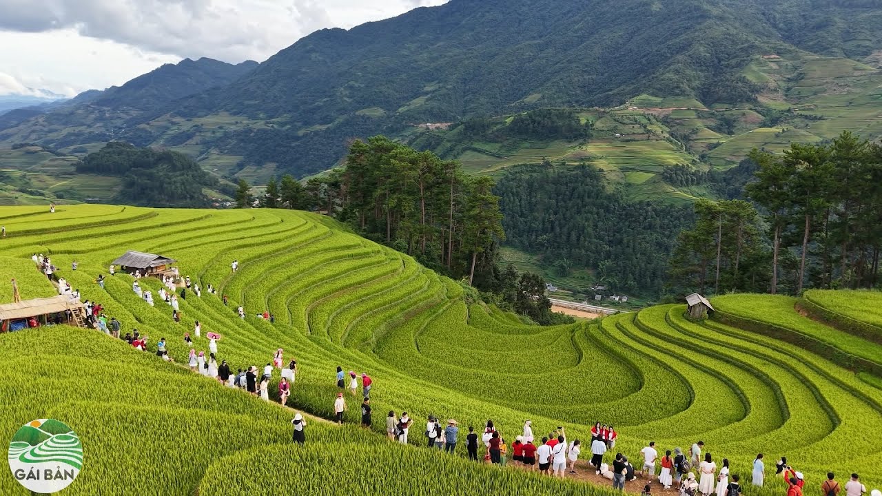 Cho&aacute;ng ngợp với cảnh đẹp ruộng bậc thang M&ugrave; Cang Chải - H&agrave;ng ng&igrave;n kh&aacute;ch du lịch đến chi&ecirc;m ngưỡng