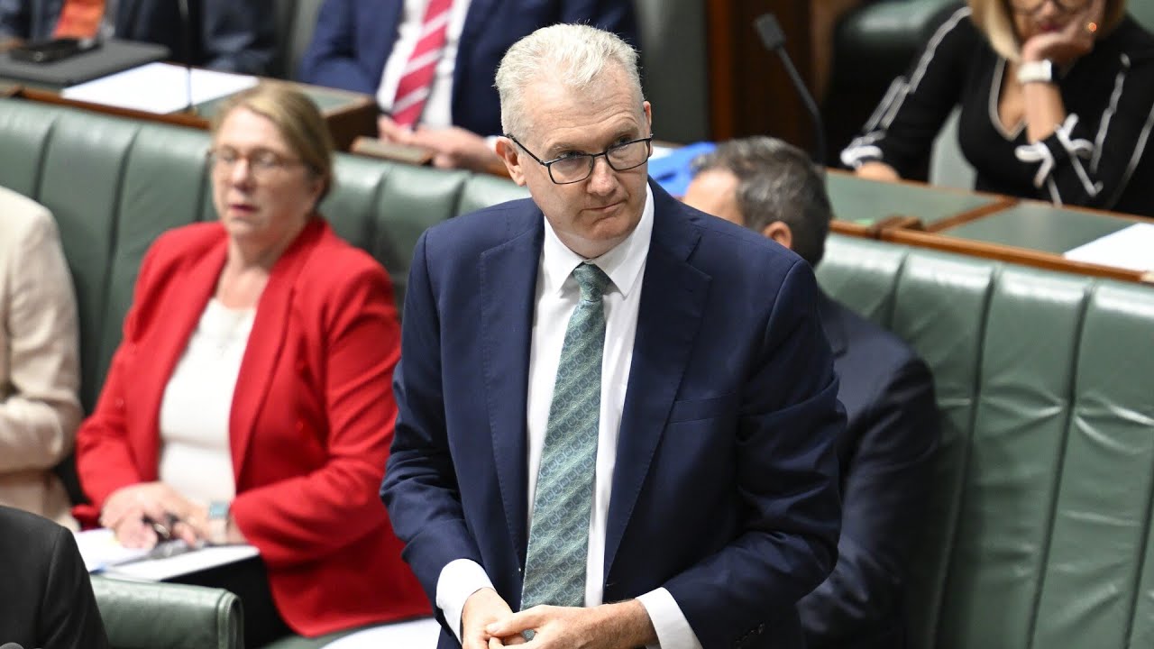 Department of Home Affairs reveal exclusive figures ahead of citizenship ceremony blitz