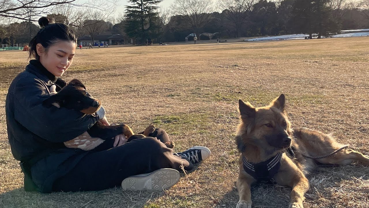 【昭和記念公園】子犬とぶらり散歩したら想像以上にまったりしすぎた(笑)