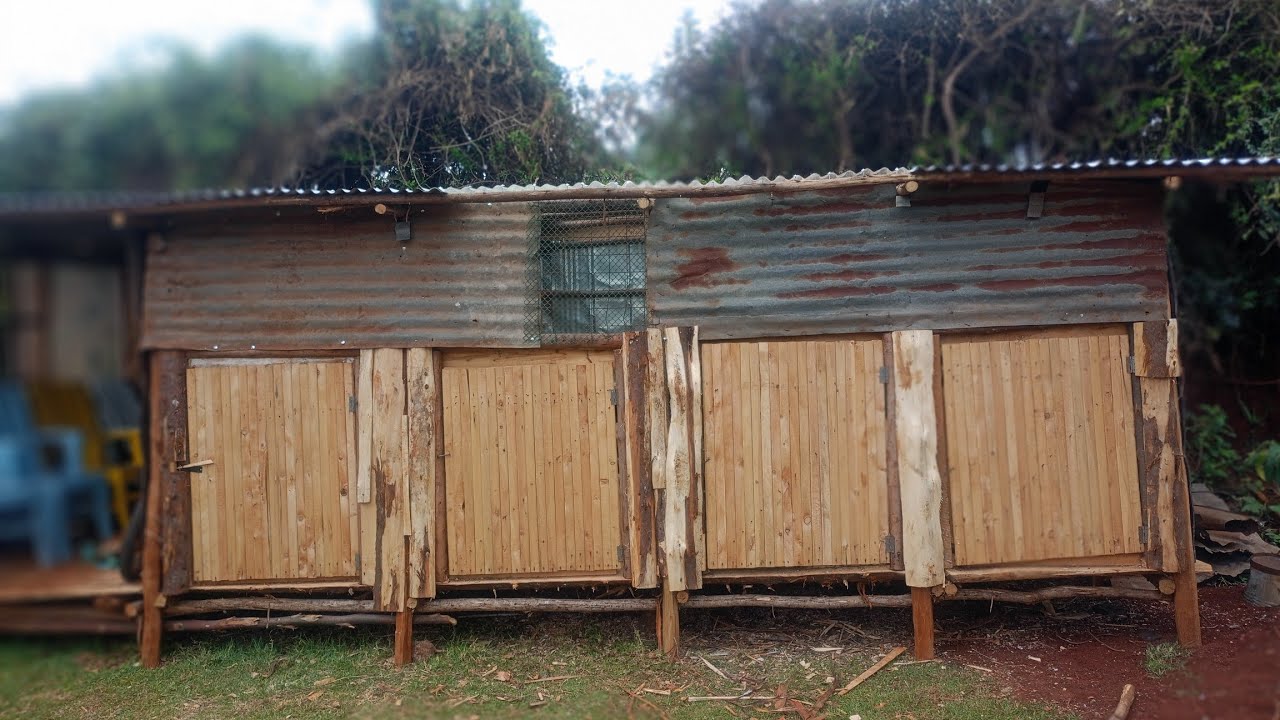New home for my chicken//African village living//chicken farming//