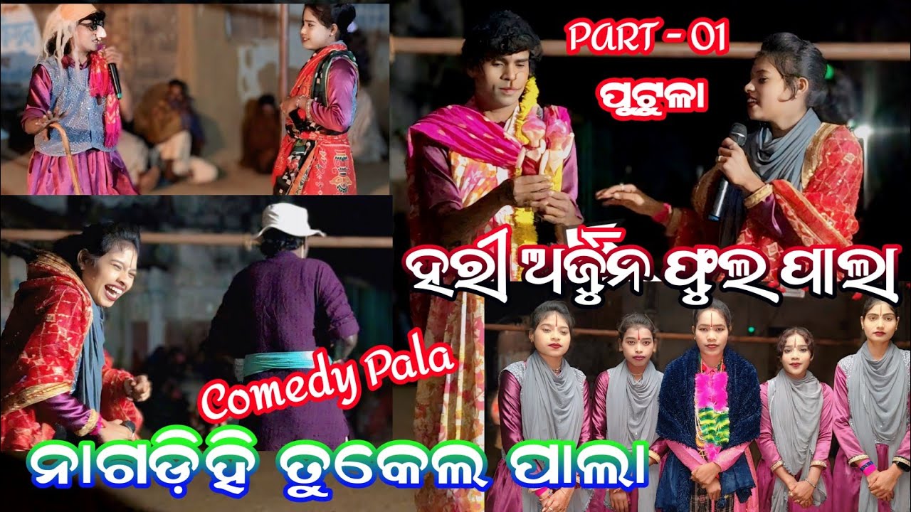 ହରି ଆଅର୍ଜୁନ ପାଲା HARI ARJUN PALA nagdihi tukel pala full Comedy tukel pala || ନାଗଡିହି ତୁକେଲ୍ ପାଲା