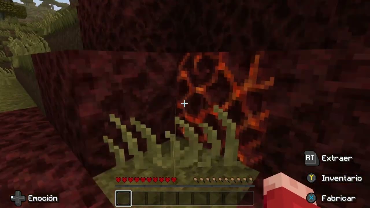 Parte 1 hadcore