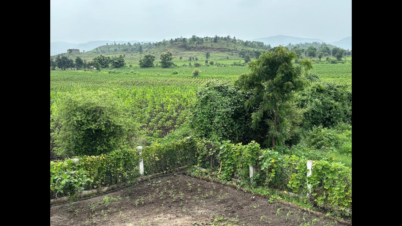 Farmhouse Plots with 24/7 Electricity & Water | Upland Farm Investment Guide