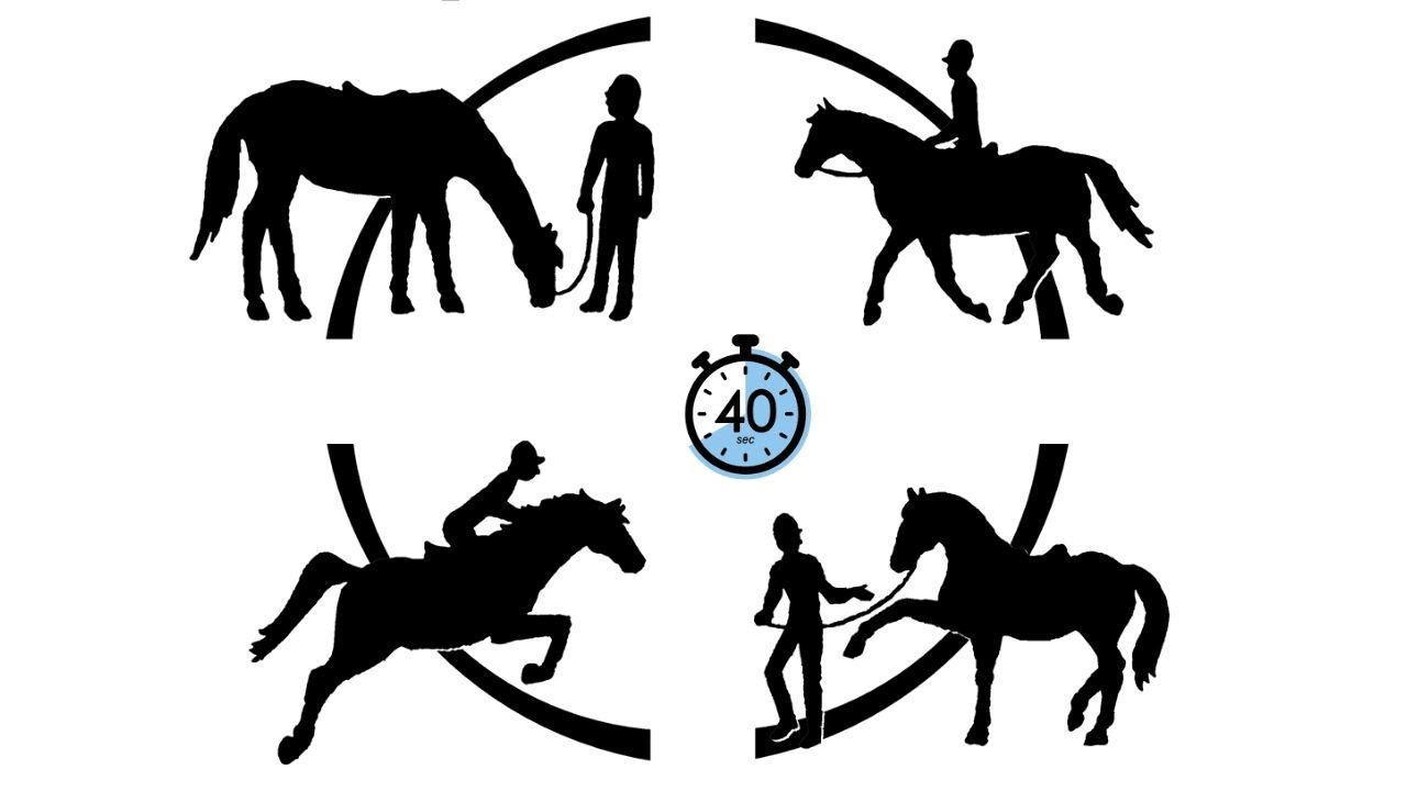 Ma règle des 40 secondes pour éduquer un cheval