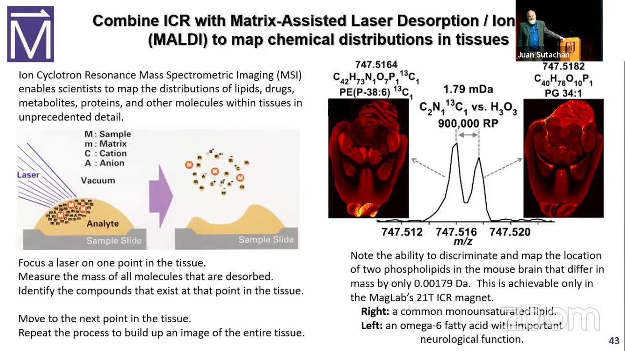 The many frontiers of high magnetic field research
